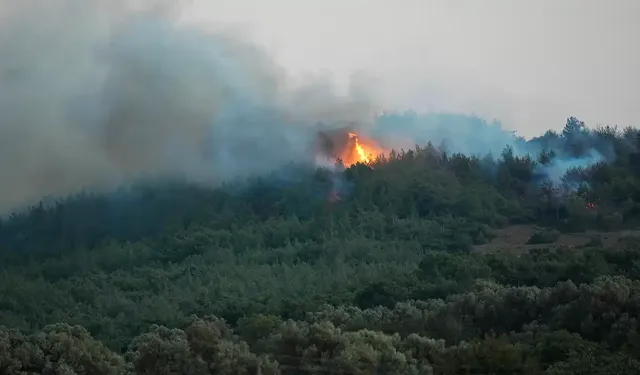 Urla’da makilik alanda yangın