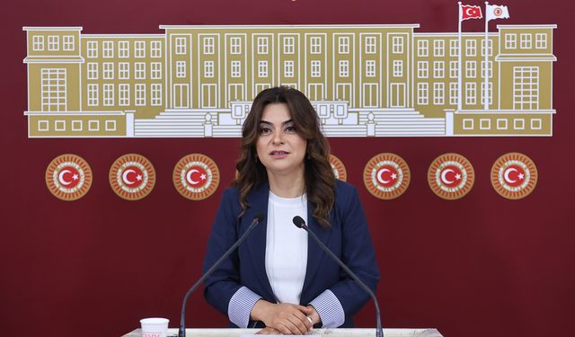 DEM Partili Koçyiğit: Bütün partiler İmralı'ya gitmeli