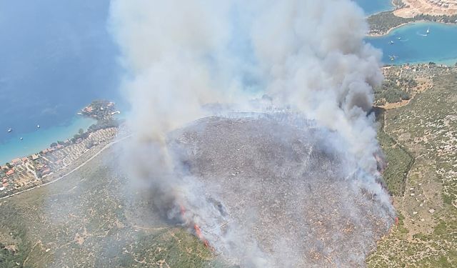 İzmir Karaburun ve Foça'da orman yangını