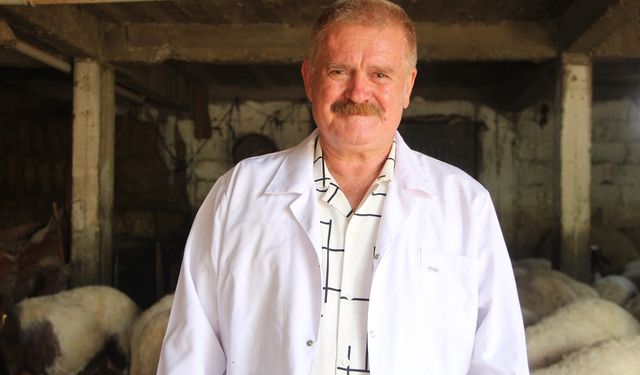 Veteriner Hekimler Odası’ndan kritik kene uyarısı! Ölüm oranı yüzde 5