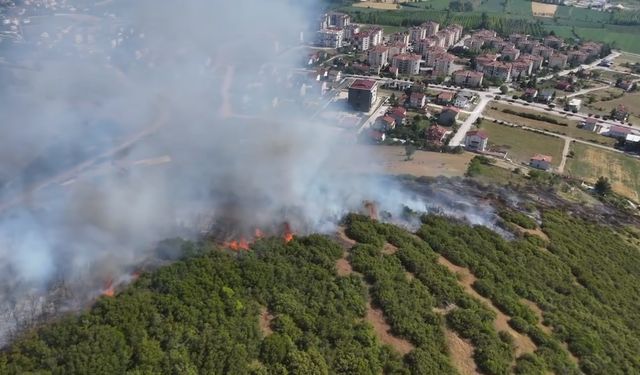 Tokat’ta çıkan maki yangınında 15 dönüm alan zarar gördü