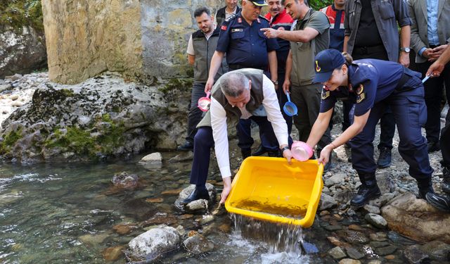 Artvin'de dereye 5 bin kırmızı benekli alabalık yavrusu bırakıldı
