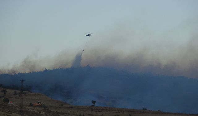 Çanakkale’de yangın: Hava ve karadan müdahale ediliyor