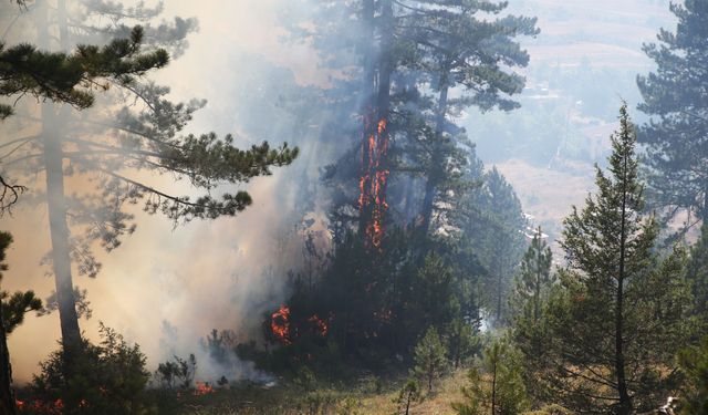 Antalya’da yangın: Yurttaşların gün boyu süren tahliyesi devam ediyor