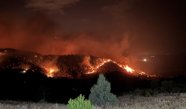 Kahramanmaraş’ta yangın