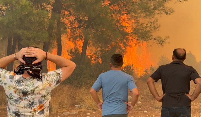 İzmir ve Bilecik yangınların ardından ‘afet bölgesi’ ilan edildi
