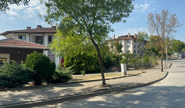 Belde merkezinde küçük ve büyükbaş ile kanatlı hayvan beslemek yasaklandı