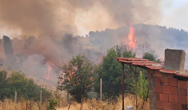 Bursa'daki orman yangınlarıyla ilgili FETÖ bağlantılı bir kişi gözaltına alındı