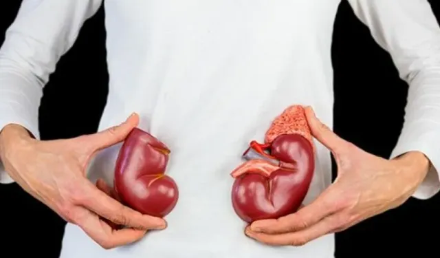 Yaşayan bir insana ilk kez genetiği değiştirilmiş domuz karaciğeri nakledildi