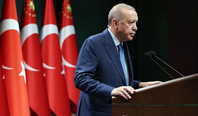 Erdoğan’dan orman yangınlarına ilişkin ‘sabotaj ve kasıt’ açıklaması