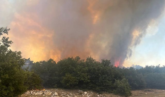 Karabük’te orman yangını