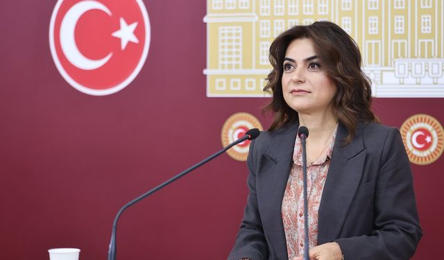 DEM Partili Koçyiğit: 'Terörsüz Türkiye' isimlendirmesine karşı çıkıyoruz