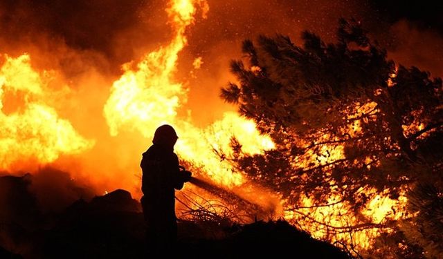 Antalya’nın iki farklı bölgesinde yangın