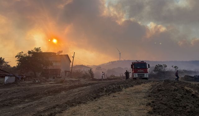 Tekirdağ'da anız yangını ormana sıçradı: Hava ve karadan müdahale ediliyor