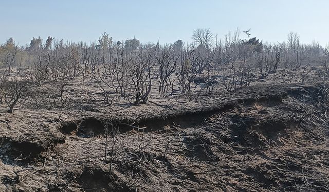 Tekirdağ’da yangın