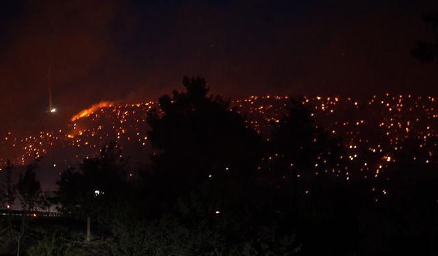 Çanakkale’deki orman yangınında 348 kişi mahsur kaldı
