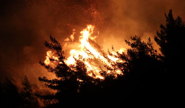 Hatay Yayladağı'nda orman yangını