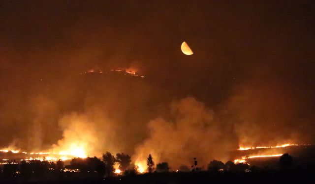 Diyarbakır'ın iki ilçesinde yangın: Yerleşim yerleri tehdit altında