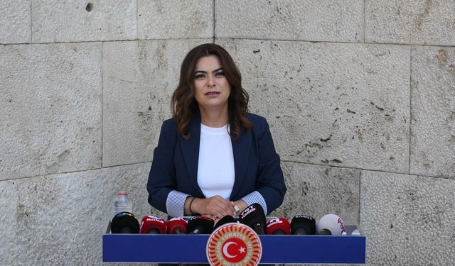 DEM Parti'li Koçyiğit: Komisyon cesur olmalı Öcalan’ı dinlemeli