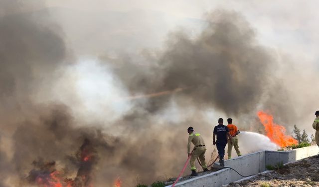 Hatay’da orman yangını
