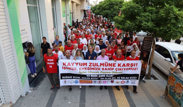 Van’da kayyımın işten çıkardığı 223 işçi, işe iade talebiyle yürüdü