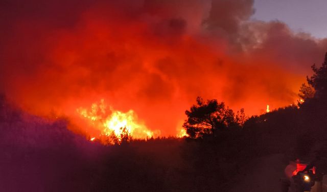 Hatay Hassa'da orman yangını