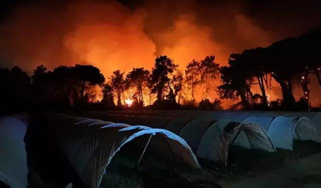 Muğla ve Antalya'da orman yangını: Müdahale sürüyor, 1 işçi hastaneye kaldırıldı