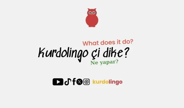 Kürtçe eğitim platformu ‘Kurdolingo’ yayında