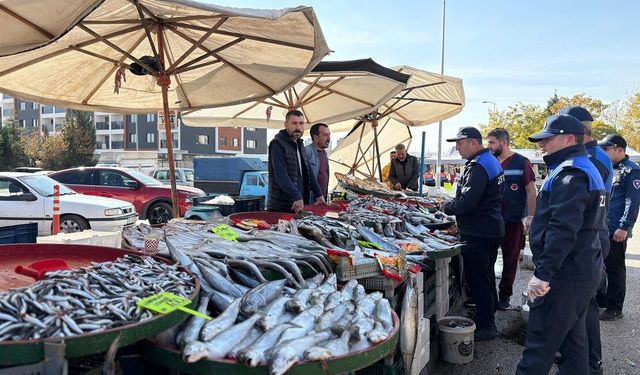 İstanbul'da ortalama balık fiyatları belli oldu