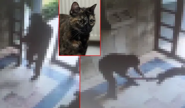 İşkenceyle öldürülen ‘Cezve’nin katiline indirimsiz 3 yıl 8 ay hapis