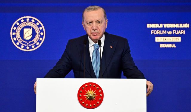 Cumhurbaşkanı Erdoğan: ‘Doğal gaz almak bakkaldan gazoz almaya benzemez’