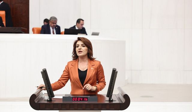 CHP'li Gülcan Kış'tan DSİ düzenlemesine tepki: Sorumluluk belediyelere yükleniyor