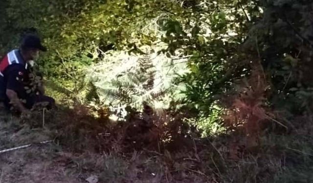 Yaylada ot biçen polis öldü, babası ise yaralandı