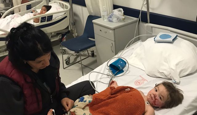 Ankara'da pitbull cinsi köpeğin saldırısına uğrayan 2 çocuk yaralandı