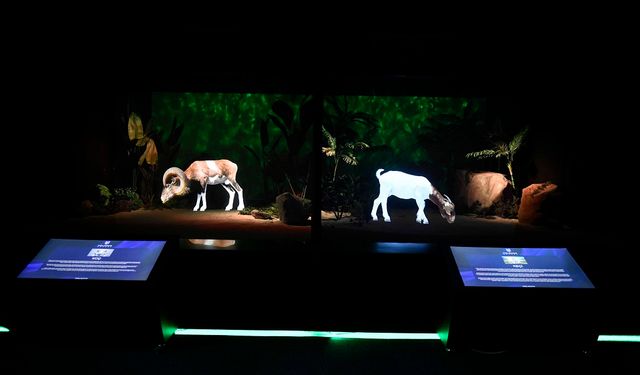 Ankara’nın Dijital Hayvanat Bahçesi teknolojiyle doğayı buluşturuyor