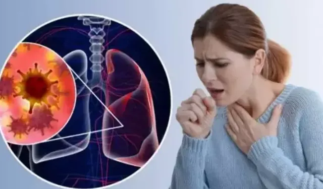 Akciğer kanseri oranının erkeklerde yüzde 89,9, kadınlarda ise yüzde 43