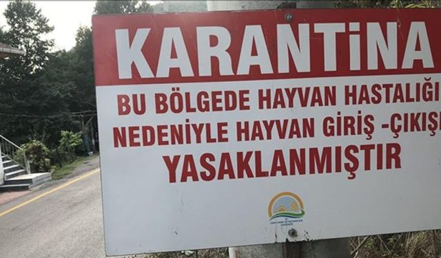 Şap hastalığı nedeniyle Bolu’da 18 köy ve 4 mahalle karantinaya alındı