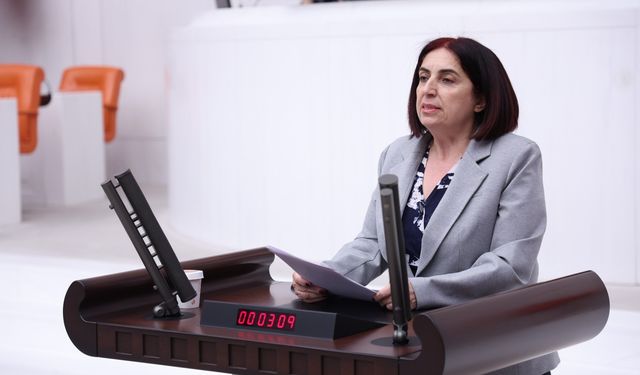 DEM Partili Sevilay Çelenk’ten vakıf vergi muafiyetlerine ilişkin araştırma önergesi