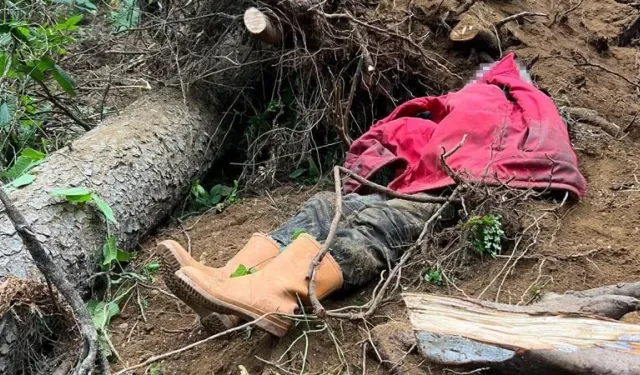 Trabzon'da kestiği ağacın altında kalan kişi yaşamını yitirdi