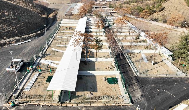 Çankaya Belediyesi sokak hayvanları için kapasiteyi 1500’e çıkardı