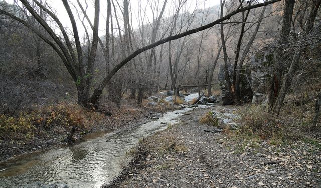 Kıbrıs Vadisi Ankara Kent Konseyi’nde ele alınacak