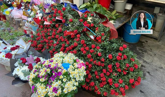 Yeni yılın şans çiçeği Kokina’ya yüzde 100 zam!