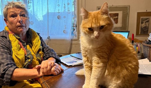 Komşusunu rahatsız eden kediye ev hapsi verildi