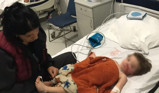 Ankara'da 2 çocuğa saldıran pitbull cinsi köpeğin sahibi tutuklandı