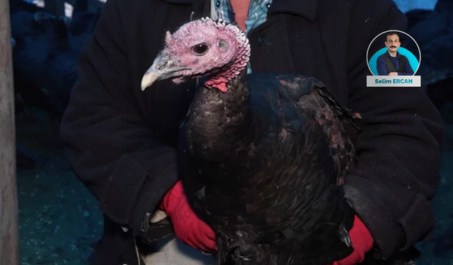 Evde yılbaşı sofrasının maliyeti belli oldu; hindinin fiyatı cep yakıyor!