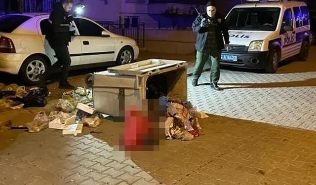 Çöp konteynerinde bebek cesedi bulundu!
