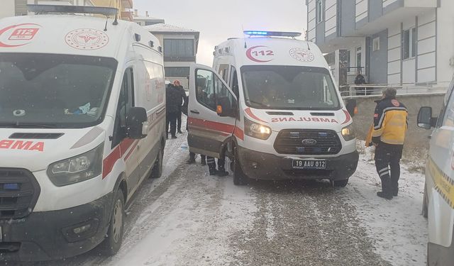 Oturdukları dairede başlarından vurulmuş cesetleri bulundu