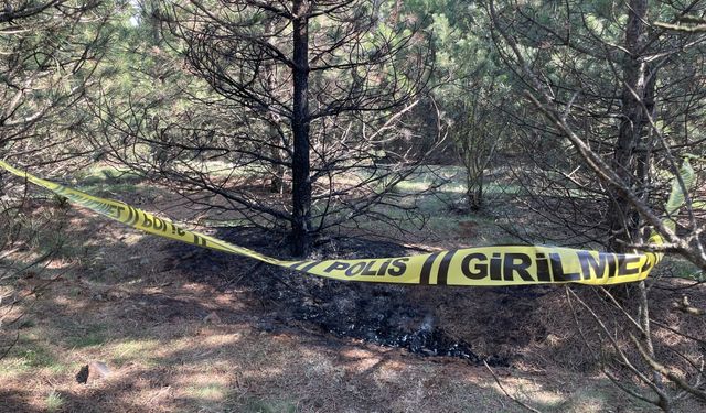 Tartıştığı sevgilisini boğarak öldürüp, cesedini 2 kez benzin dökerek yakmış