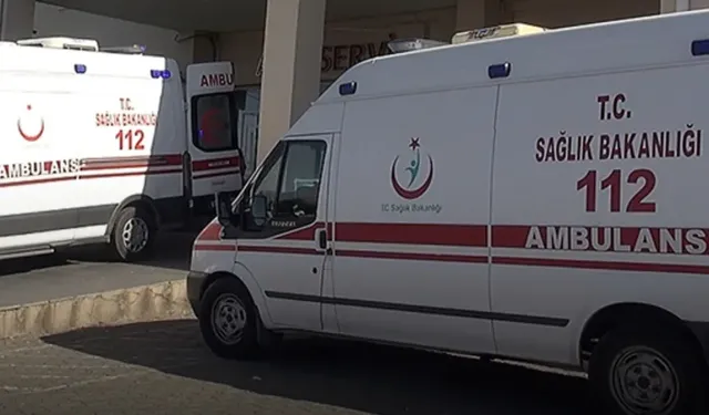 İnşaat alanında oynarken üzerlerine demir profil düşen 2 kardeş öldü