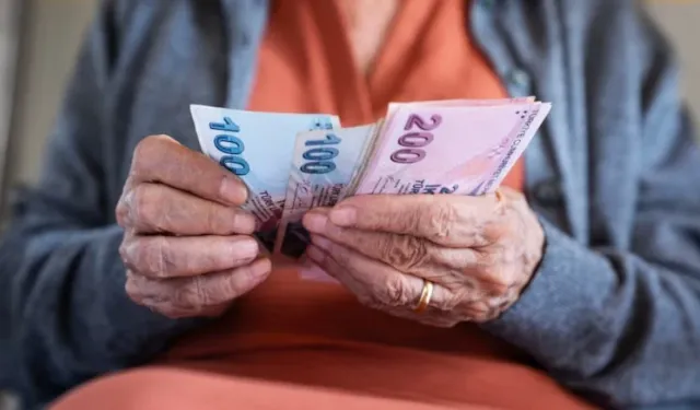 Mahkemeden emekliye emsal 'ulaşım' kararı